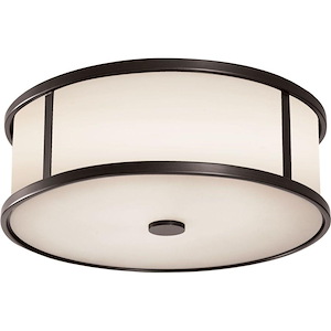 Dakota-Transitional 3 Light Outdoor Ceiling Fixture Stainless Steel in Transitional Style-14 Inch Wide by 4.88 Inch High - 1214298