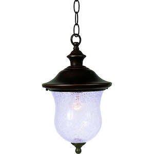 One Light Outdoor Hanging Lantern