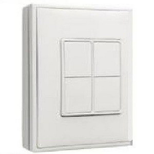 Accessory - Double Wall Switch