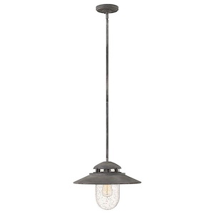 Atwell - 1 Light Medium Outdoor Hanging Lantern in Traditional-Industrial Style - 14.5 Inches Wide by 11 Inches High
