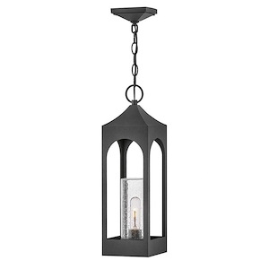 Amina - 1 Light Medium Outdoor Hanging Lantern - 1267377