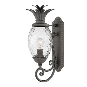 Plantation - 1 Light Small Outdoor Wall Lantern in Traditional and Glam Style - 8 Inches Wide by 22 Inches High - 758989