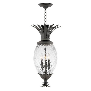 Plantation - 4 Light Medium Outdoor Hanging Lantern in Traditional-Glam Style - 12.5 Inches Wide by 28.5 Inches High
