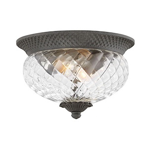 Plantation - 2 Light Outdoor Small Flush Mount in Traditional-Glam Style - 12 Inches Wide by 8 Inches High - 758995