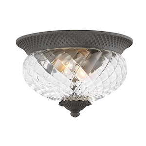 Plantation - 2 Light Outdoor Small Flush Mount in Traditional-Glam Style - 12 Inches Wide by 8 Inches High - 758995