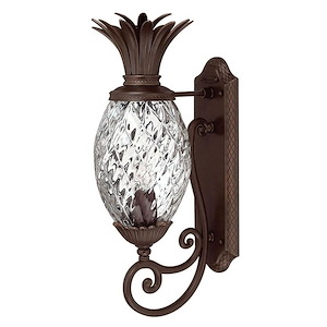 Plantation - 1 Light Small Outdoor Wall Lantern in Traditional and Glam Style - 8 Inches Wide by 22 Inches High
