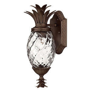 Plantation - 1 Light Extra Small Outdoor Wall Lantern in Traditional and Glam Style - 6 Inches Wide by 14 Inches High - 1333700