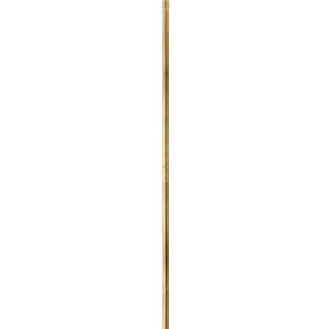 Accessory - 12 Inch Extension Rod - 193238