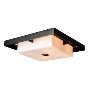 Shadow Box - 4 Light Outdoor Flush Mount-4.6 Inches Tall and 16.1 Inches Wide - 1337297