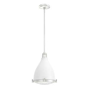 Bluff View 1-Light Pendant In Casual Style-13.625 Inches Tall and 10.25 Inches Wide - 1087820