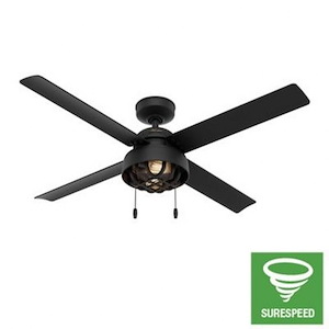 Spring Mill 52 Inch Ceiling Fan with LED Light Kit and Pull Chain