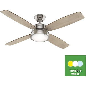 Wingate 52 Inch Ceiling Fan with LED Light Kit and Handheld Remote - 1217668
