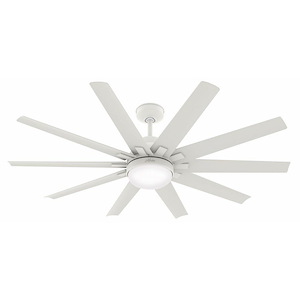 Overton  - 10 Blade Outdoor Ceiling Fan with Light Kit In Modern Style-15.82 Inches Tall and 60 Inches Wide