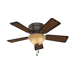 Conroy 42 Inch Low Profile Ceiling Fan with LED Light Kit and Pull Chain