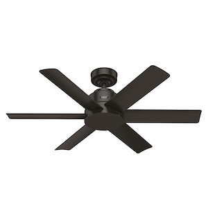 Kennicott 44 Inch Ceiling Fan with Wall Control