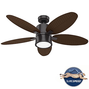 Amaryllis-5 Blade Ceiling Fan with Light Kit and Handheld Remote in Transitional Style-52 Inches Wide by 16.23 Inches High