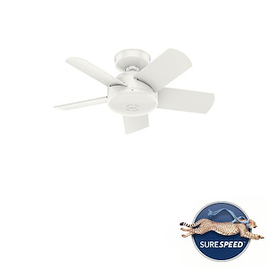 Omnia 30-Inch Damp Rated Ceiling Fan and Wall Control