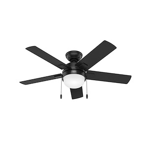 Zeal - 44 Inch 5 Blade Ceiling Fan with Light Kit and Pull Chain In Transitional Style - 1087529