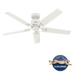 Windbound 52-Inch Damp Rated Ceiling Fan And Pull Chain