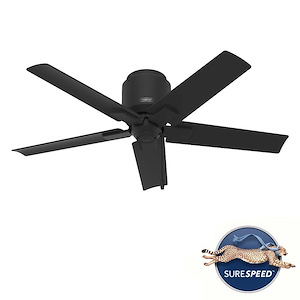 Terrace 44-Inch Low Profile Damp Rated Ceiling Fan and Pull Chain
