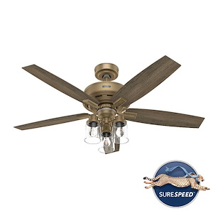 Ananova - 5 Blade Ceiling Fan with Light Kit and Handheld Remote In Traditional Style-20.93 Inches Tall and 52 Inches Wide