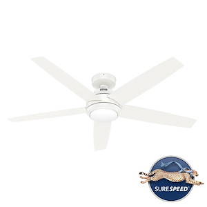 Zayden - 5 Blade Ceiling Fan with Light Kit and Handheld Remote In Modern Style-11.85 Inches Tall and 52 Inches Wide