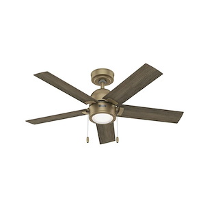 Erling - 5 Blade Ceiling Fan with Light Kit In Modern Style-14.04 Inches Tall and 44 Inches Wide