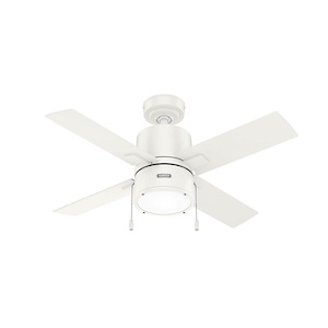 Beck - 4 Blade Ceiling Fan with Light Kit and Pull Chain In Modern Style-17.23 Inches Tall and 42 Inches Wide