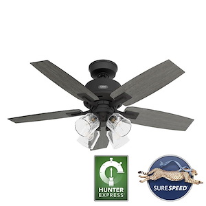 Gatlinburg - 5 Blade Ceiling Fan with Light Kit-19.02 Inches Tall and 44 Inches Wide