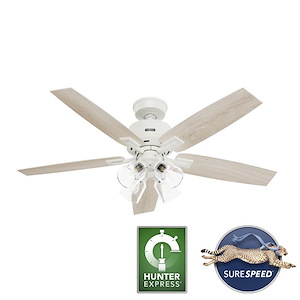 Gatlinburg - 5 Blade Ceiling Fan with Light Kit-19.01 Inches Tall and 52 Inches Wide - 1293877