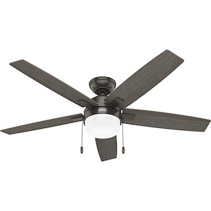 Anisten - 5 Blade Ceiling Fan with Light Kit-13 Inch Tall and 52 Inch Wide - 1421162