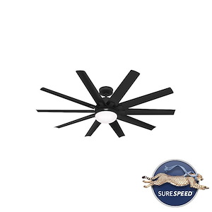 Overton - 10 Blade Ceiling Fan with Light Kit In Modern Style-15.82 Inches Tall and 60 Inches Wide