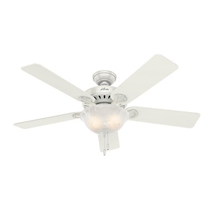 Pro&#39;s Best 52 Inch Ceiling Fan with LED Light Kit and Pull Chain