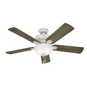 Matheston 52 Inch Ceiling Fan with Light Kit and Pull Chain