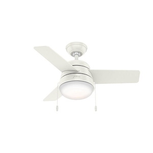 Aker 36 Inch Ceiling Fan with LED Light Kit and Pull Chain