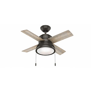 Loki 36 Inch Ceiling Fan with LED Light Kit and Pull Chain - 756240