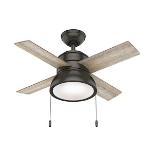 Loki 36 Inch Ceiling Fan with LED Light Kit and Pull Chain