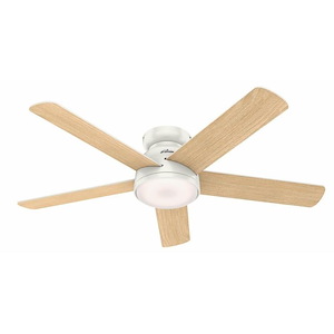 Romulus 54 Inch WiFi Low Profile Ceiling Fan with LED Light Kit and Handheld Remote
