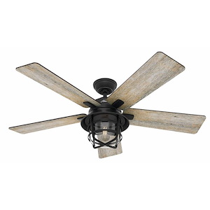 Coral Gables II - 5 Blade Ceiling Fan with Light Kit and Handheld Remote In Casual Style-17.11 Inches Tall and 54 Inches Wide