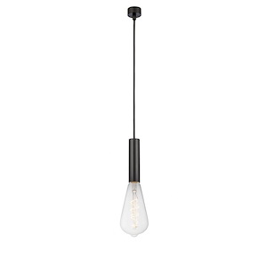 Edison - 5W 1 LED Mini Pendant In Industrial Style-11.88 Inches Tall and 3.75 Inches Wide
