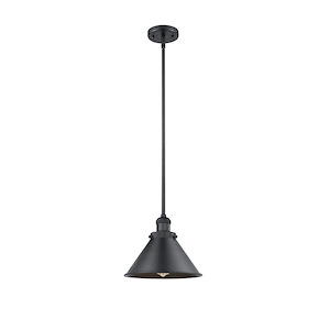 Briarcliff - 100W 1 LED Stem Hung Mini Pendant-10 Inch Tall and 10 Inch Wide - 1421882