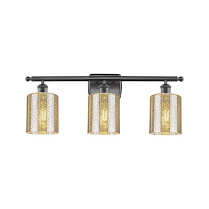 Cobbleskill - 100W 3 LED Bath Vanity-10 Inch Tall and 25 Inch Wide - 1425706
