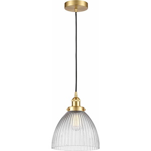 Seneca Falls - 100W 1 LED Cord Hung Mini Pendant-11 Inch Tall and 9.5 Inch Wide - 1428115