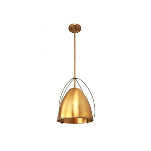 Rani - 1 Light Pendant In Industrial Style-14 Inches Tall and 14 Inches Wide