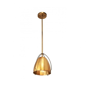 Rani - 1 Light Mini Pendant In Industrial Style-9 Inches Tall and 9 Inches Wide
