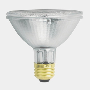 Accessory - Halogen PAR30 75 Watt FL40 Lamp