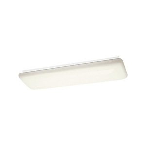 Fluorescent Fixture Group - 2 Light Ceiling Mount - with Utilitarian inspirations - 4.75 inches tall by 11.25 inches wide - 19447