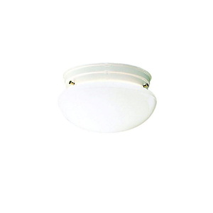 Ceiling Space - 2 Light Ceiling Mount - with Utilitarian inspirations - 5.25 inches tall by 8.75 inches wide