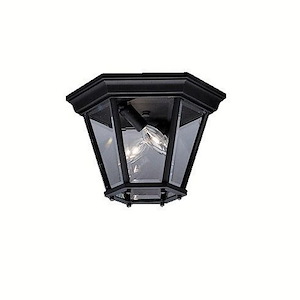 Trenton - 2 light Outdoor Flush Mount - 7.25 inches tall by 10.75 inches wide