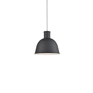 Irving - 1 Light Pendant-12 Inches Tall and 13 Inches Wide